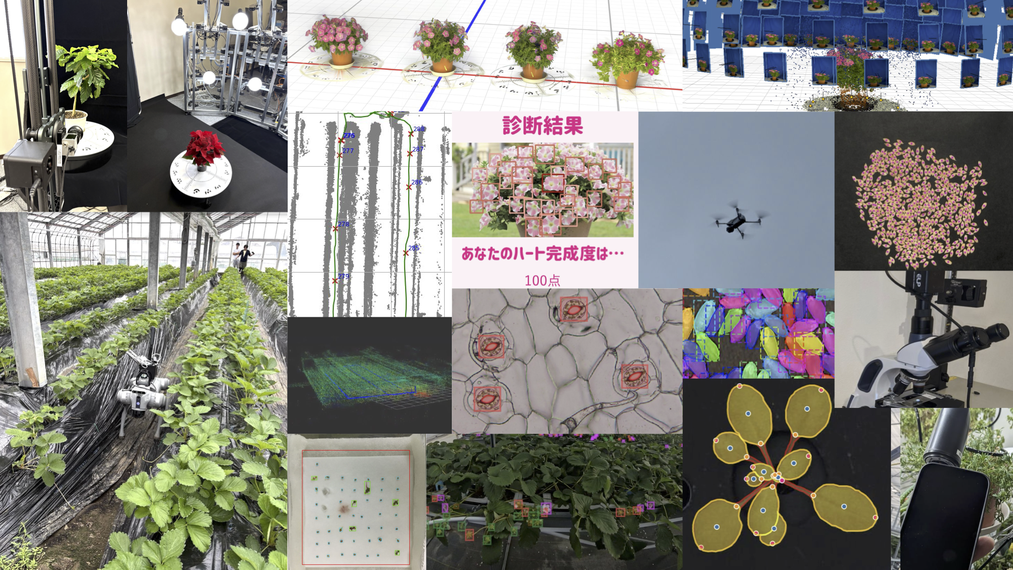 植物の撮影、三次元計測、画像解析、顕微鏡観察、圃場計測など、フィトメトリクスの多様な取り組み